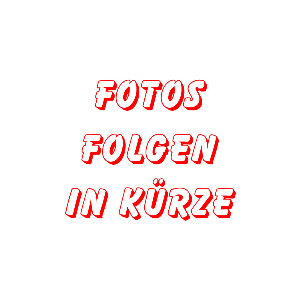 Notaustiegsklappe für Schutzraum 60x60cm für 5 Tonnen Radlast samt Seilzug